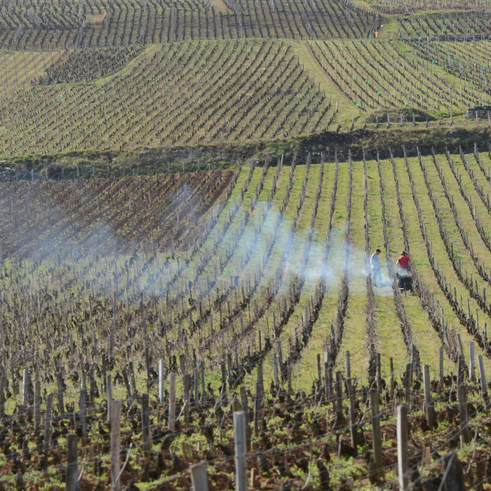 26 Nov Climats de Bourgogne Tasting