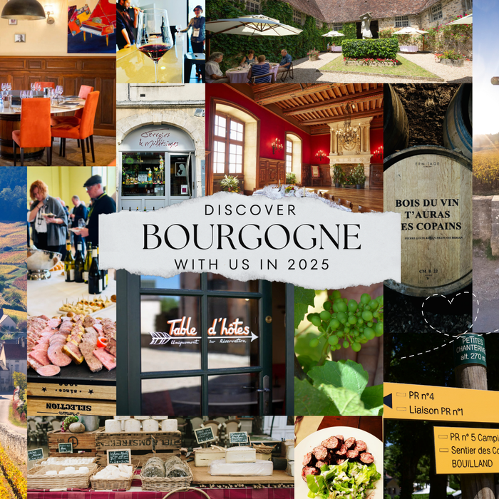 Discover Bourgogne with us in 2025