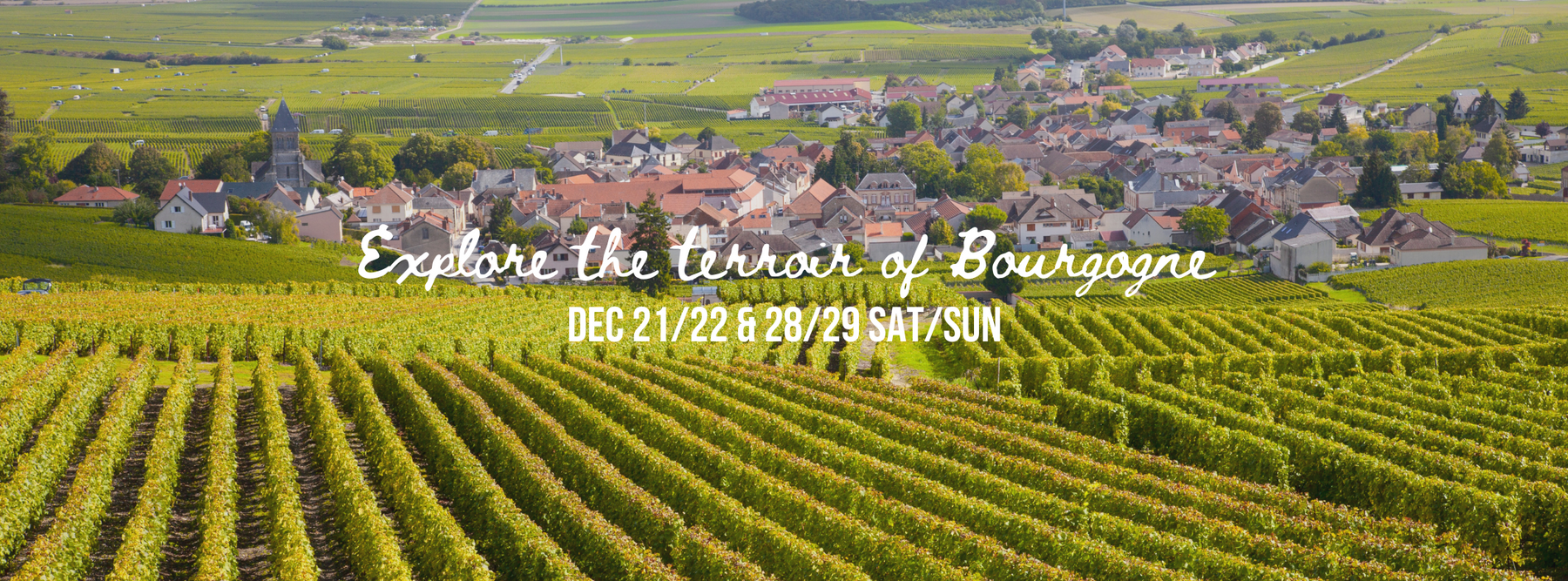 Terroir de Bourgogne themed tasting 21/22 & 28/29 Dec